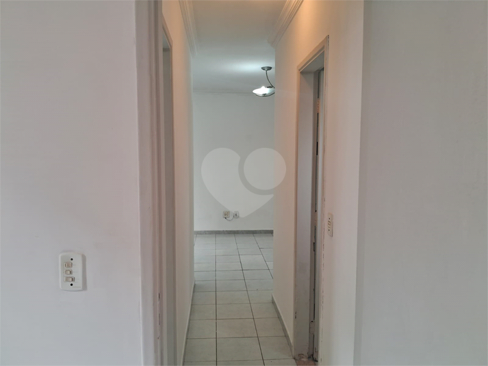 Foto REO481595