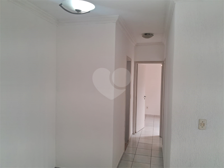 Foto REO481595