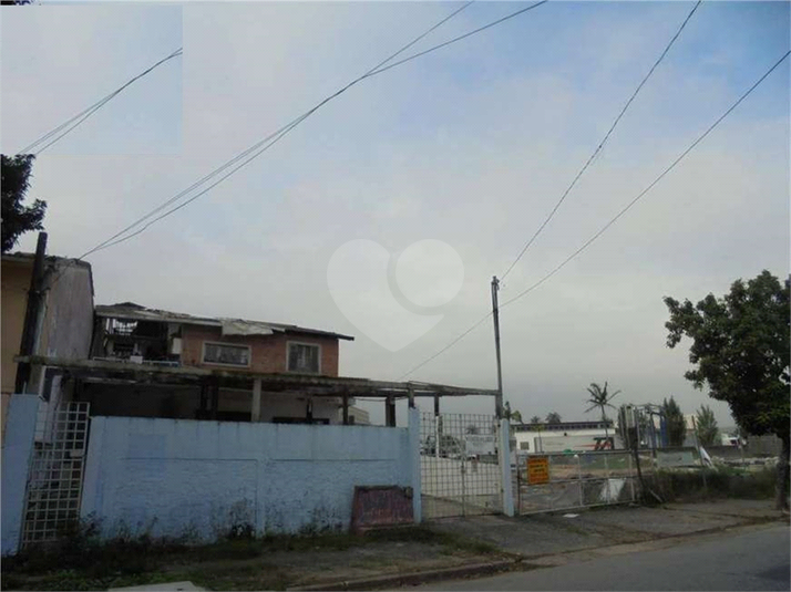 Foto REO481964
