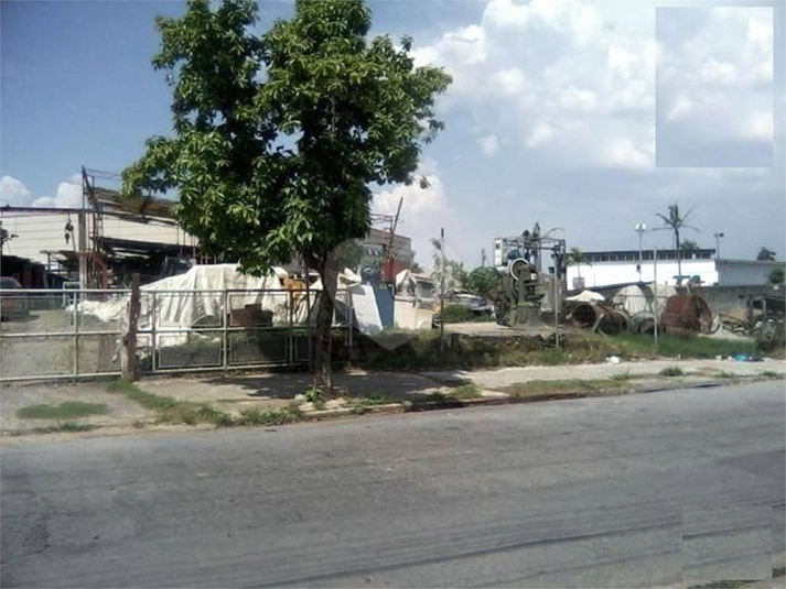Foto REO481964