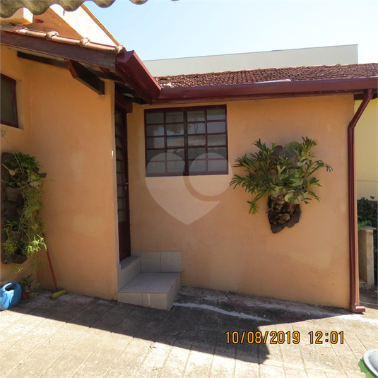Foto REO482385
