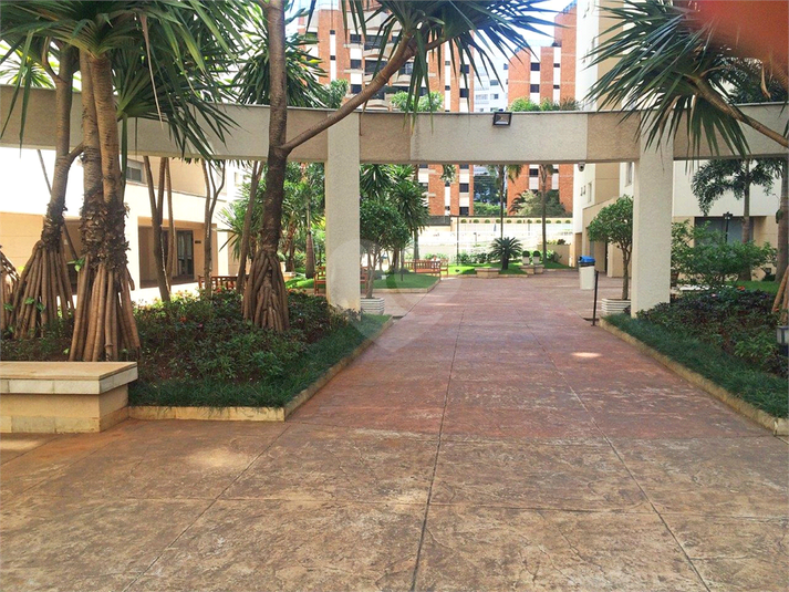 Foto REO482388