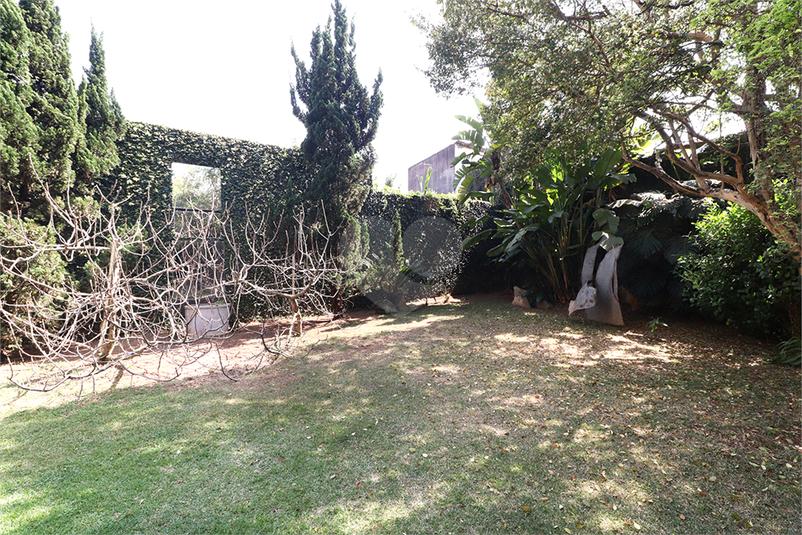 Foto REO482456