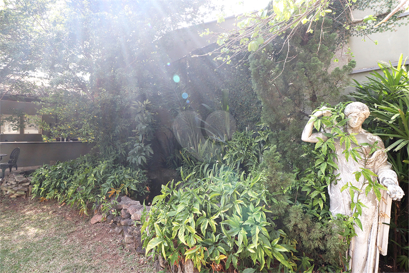 Foto REO482456