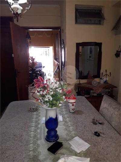 Foto REO482755
