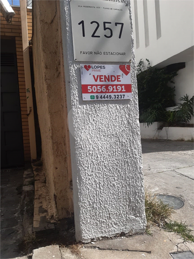 Foto REO483305
