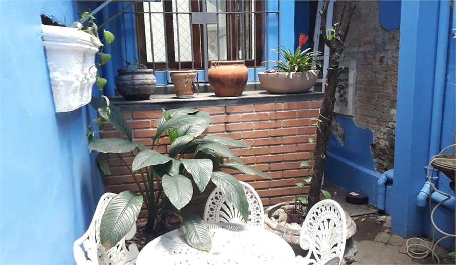 Foto REO483530