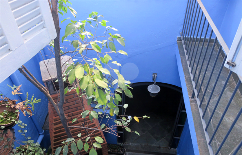 Foto REO483530