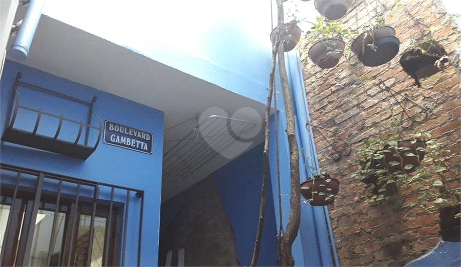 Foto REO483530