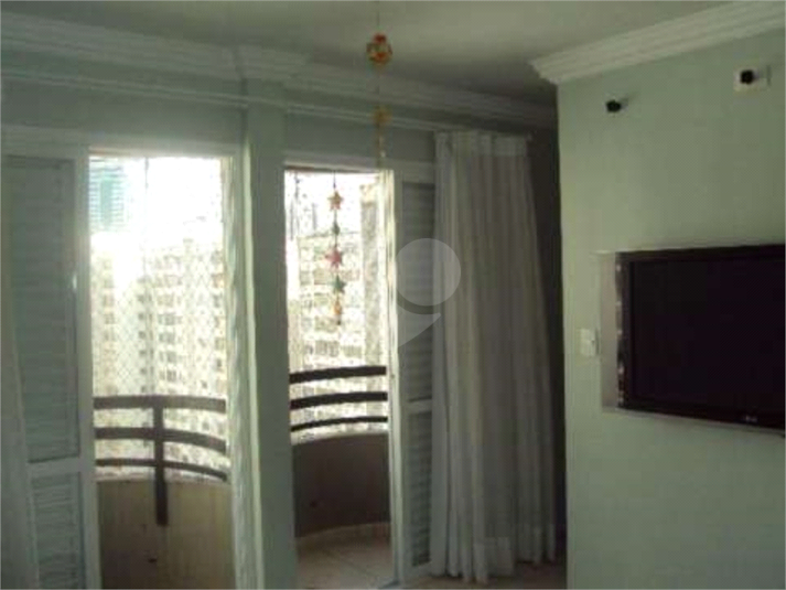 Foto REO483825