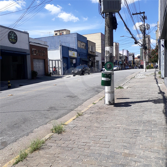 Foto REO484173