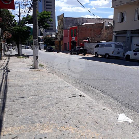 Foto REO484173