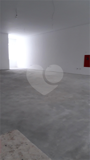Foto REO484173