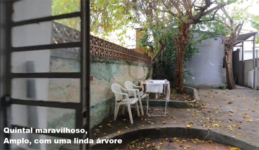 Foto REO484403