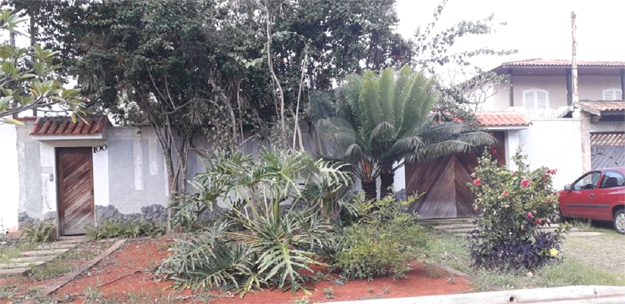 Foto REO484469