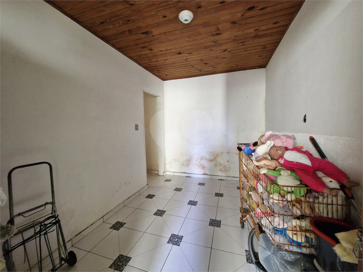 Foto REO484659