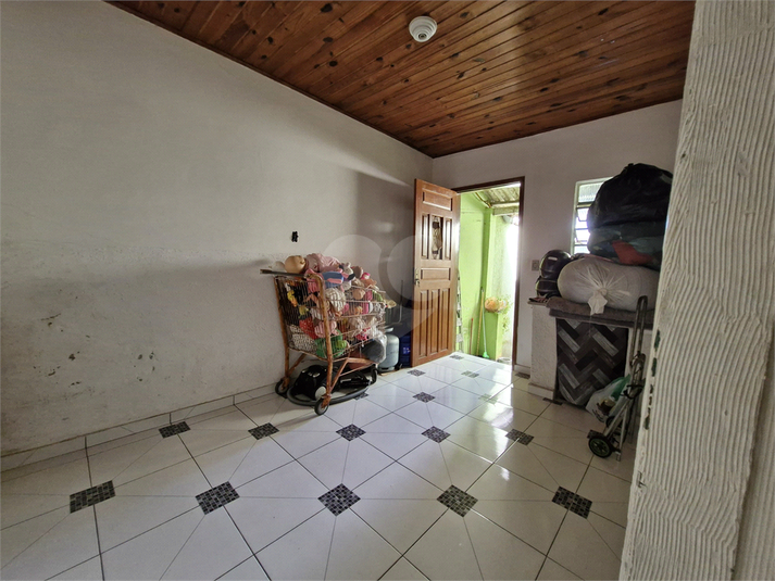 Foto REO484659