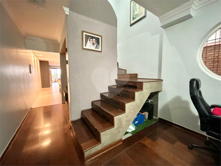 Foto REO484870