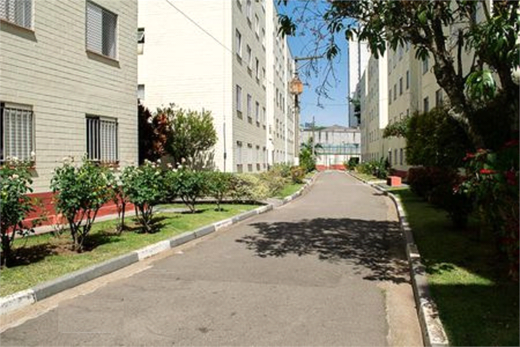 Venda Apartamento São Paulo Lauzane Paulista REO485089 12