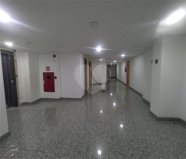 Foto REO486229