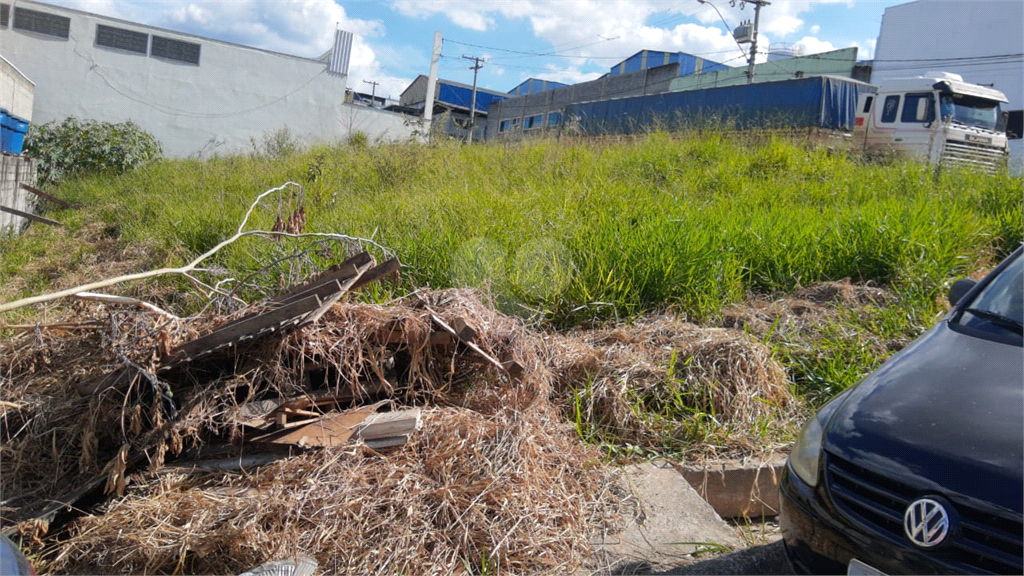 Venda Terreno Franco Da Rocha Parque Dos Eucaliptos REO486358 15