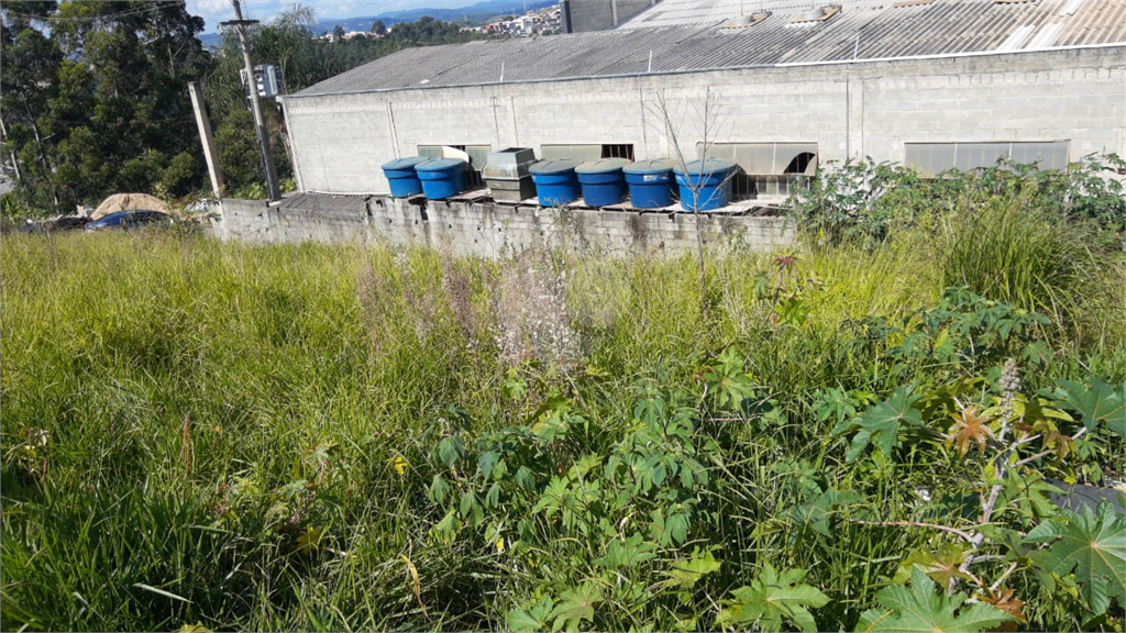 Venda Terreno Franco Da Rocha Parque Dos Eucaliptos REO486358 10