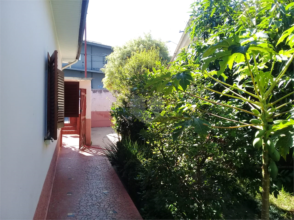 Venda Casa térrea São Paulo Vila Mazzei REO486648 1