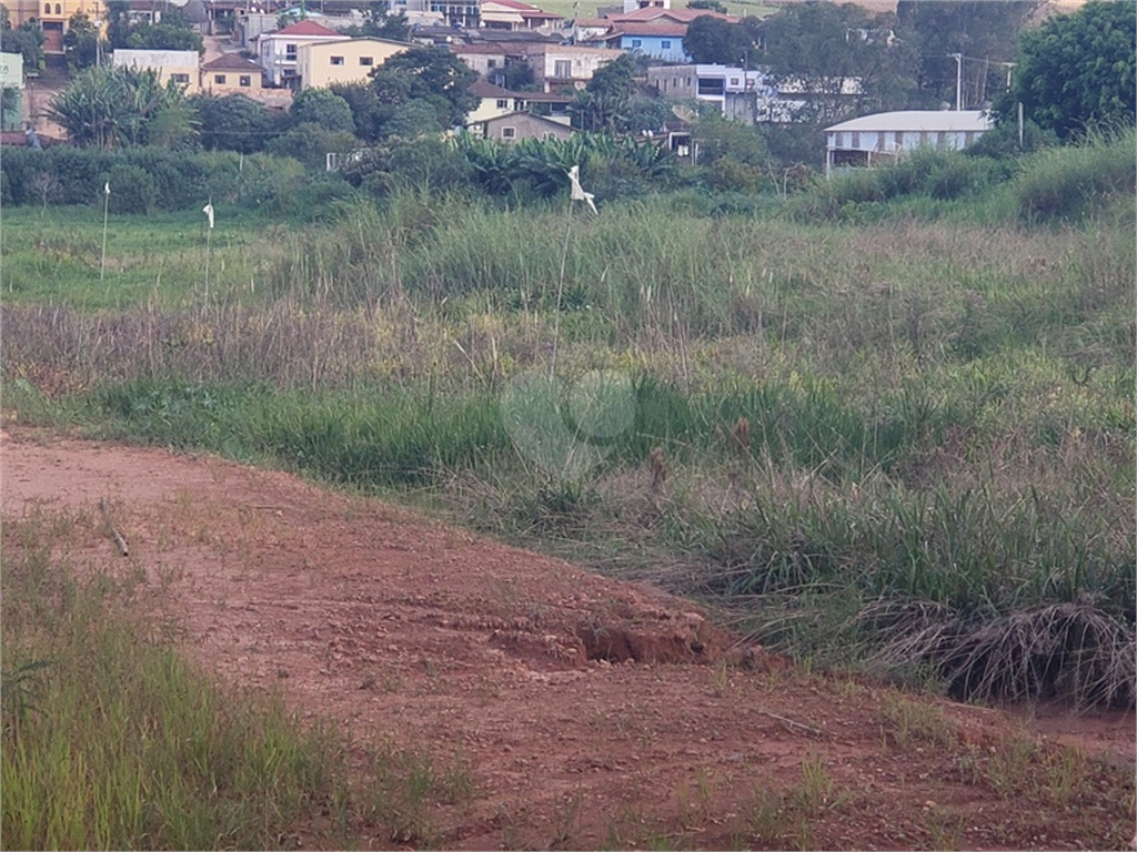 Venda Área de Terra Cambuí Centro REO487028 8