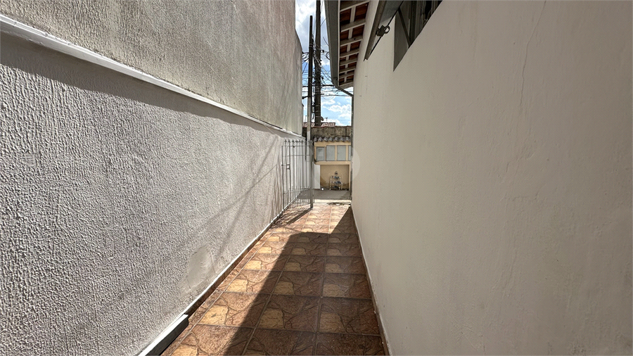 Foto REO487245