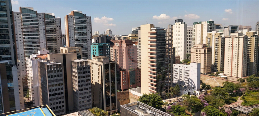 Foto REO487350