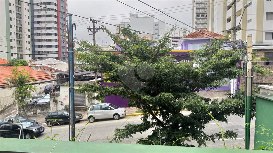 Foto REO487890