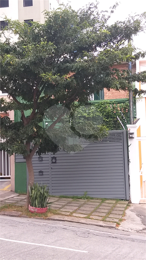 Foto REO487890