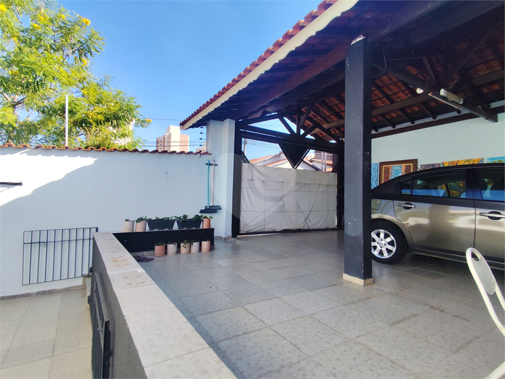 Foto REO488128
