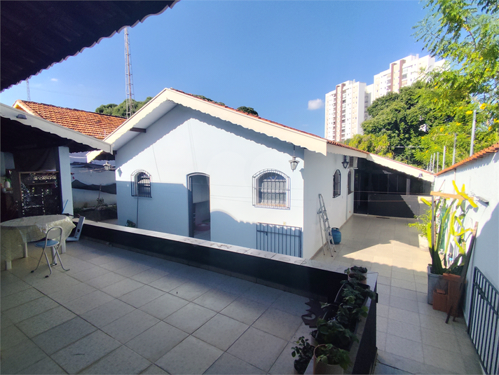 Foto REO488128