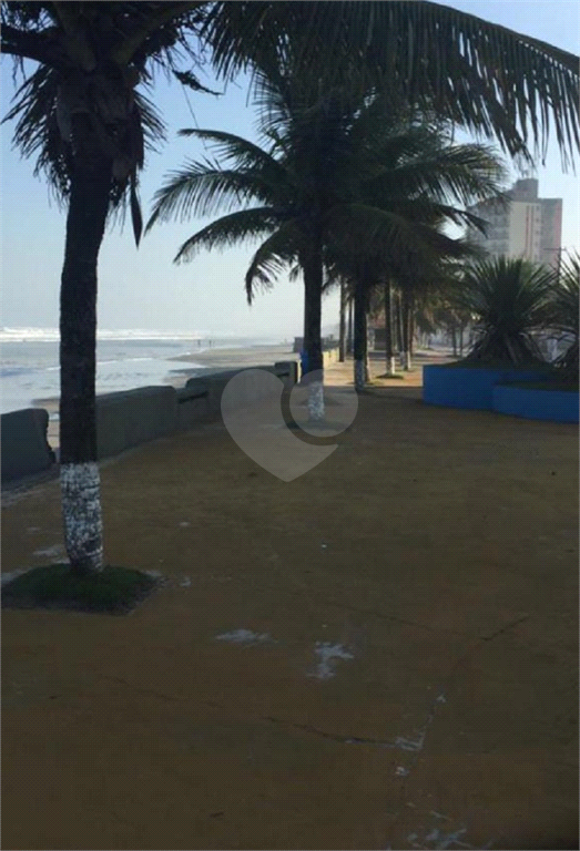 Venda Apartamento Mongaguá Jardim Praia Grande REO488372 5