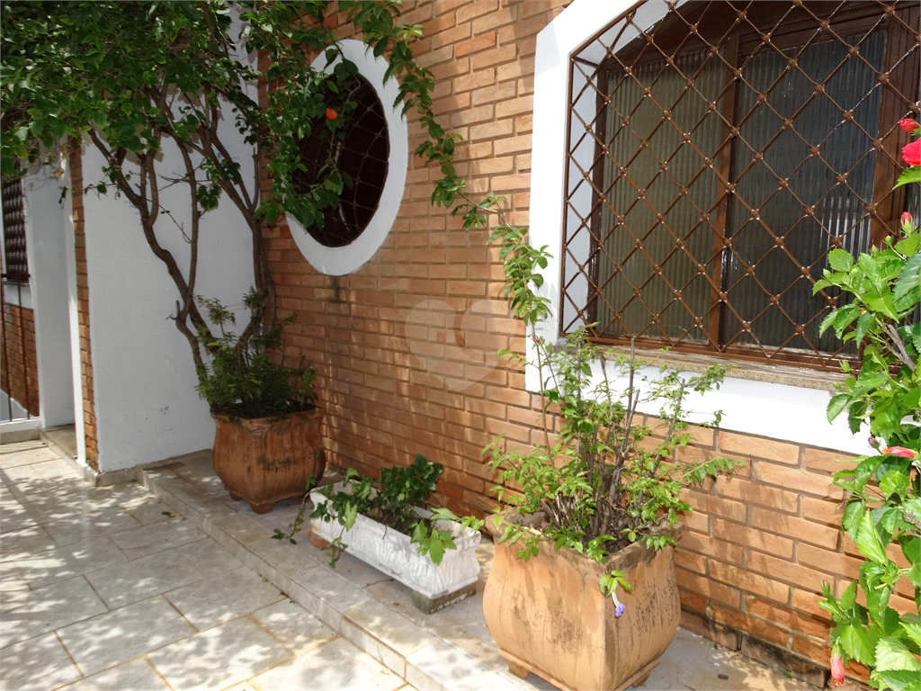 Venda Casa Valinhos Vila Anhangüera REO488457 43