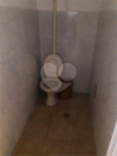 Foto REO488516