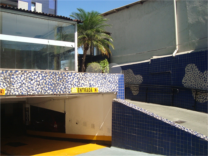Foto REO488855