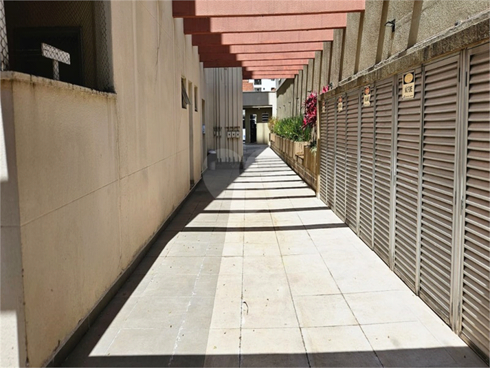 Foto REO488871