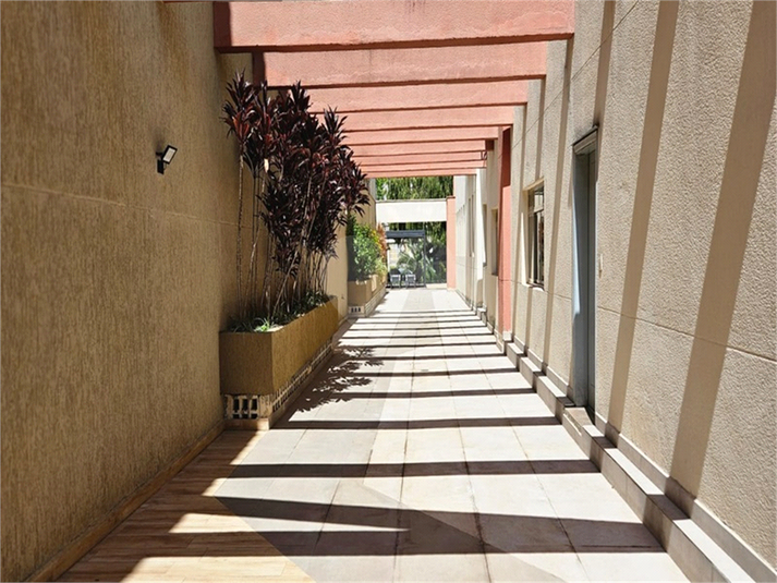 Foto REO488871