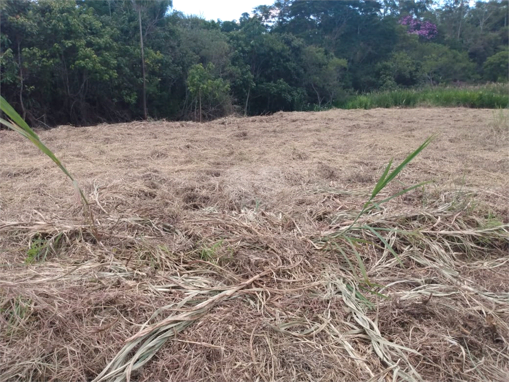 Venda Terreno Mogi Das Cruzes Cézar De Souza REO488991 11