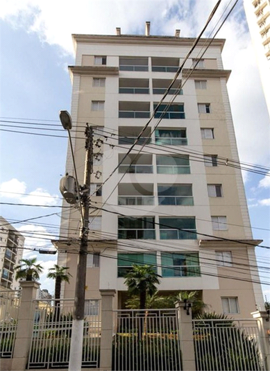 Foto REO489062