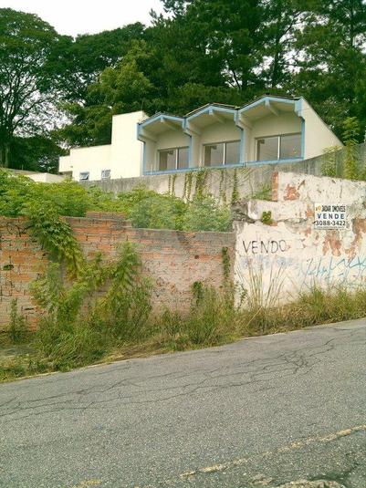 Foto REO48950