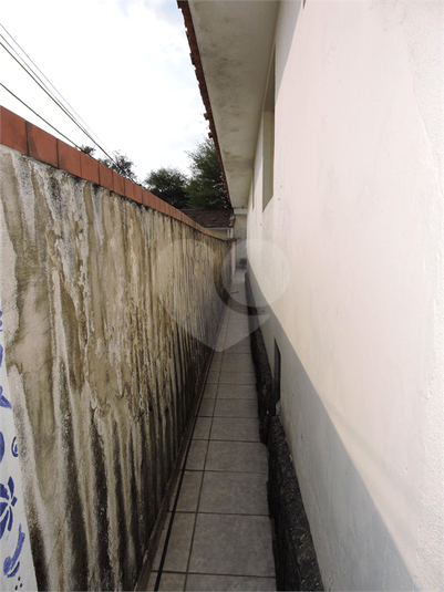 Foto REO489824