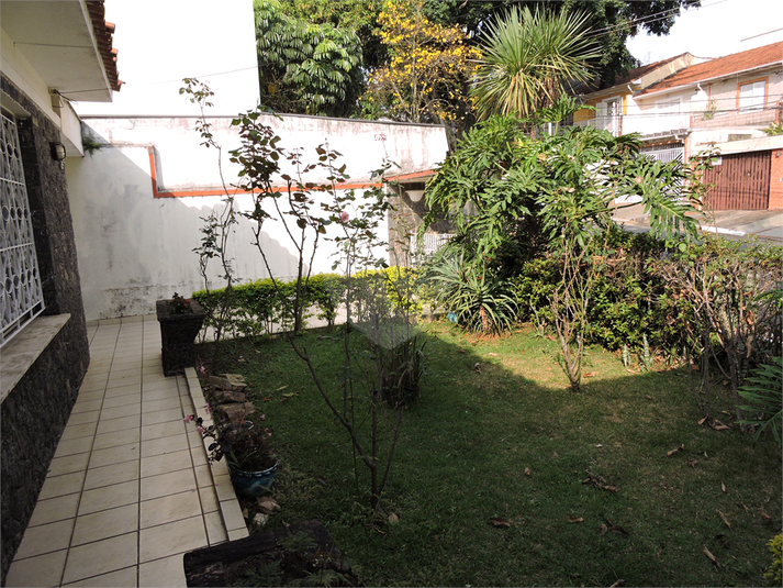 Foto REO489824