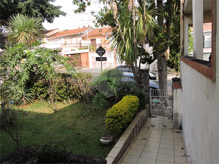 Foto REO489824