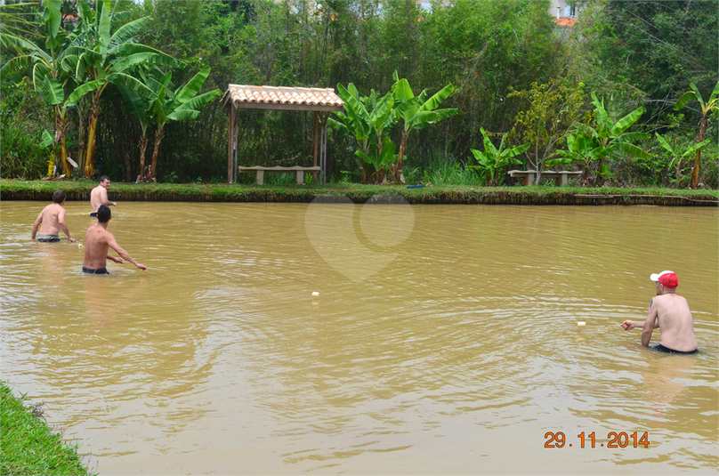 Foto REO489846