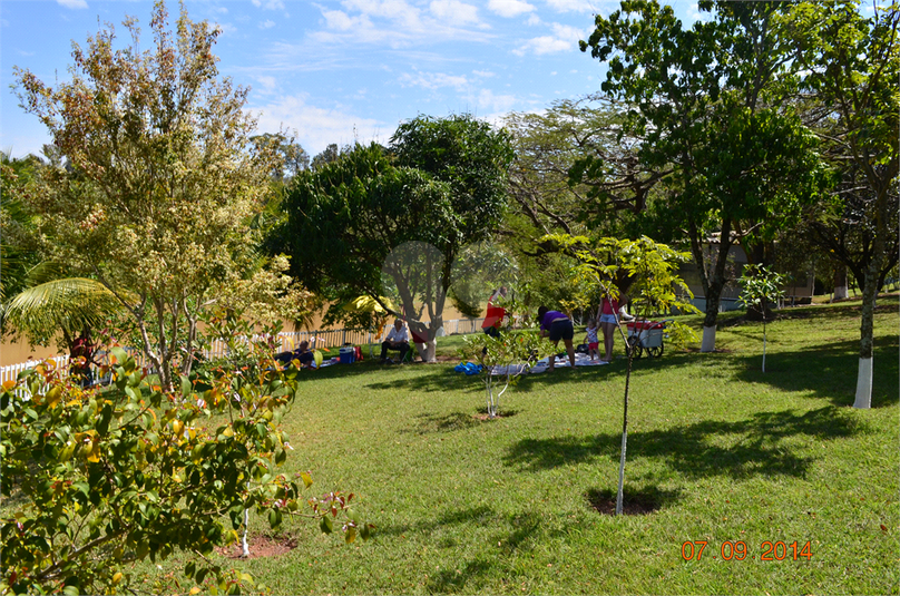 Foto REO489846