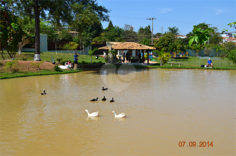 Foto REO489846