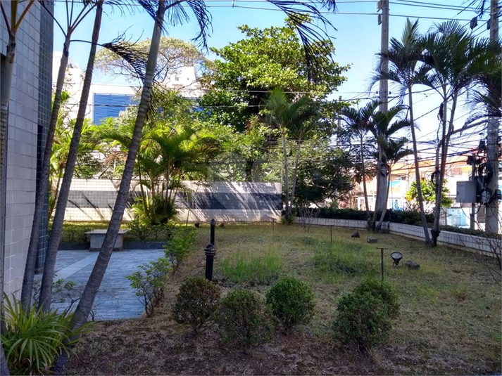 Foto REO490034